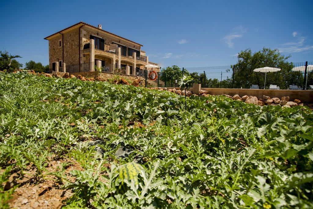 Agroturismo Sa Marina Alquería Blanca Exterior foto
